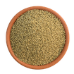 Browntop Millet