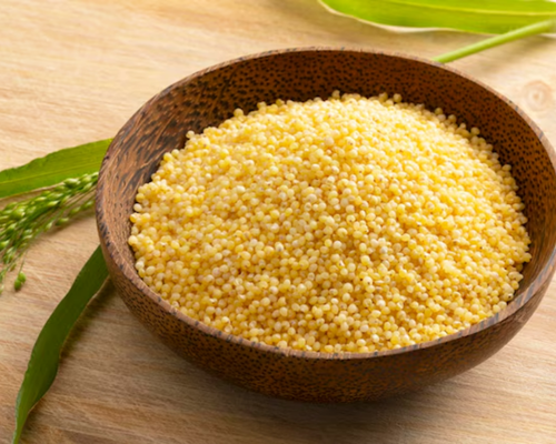 Little Millet