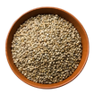 Pearl Millet