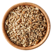 Wheat