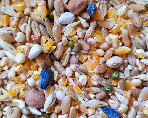 Goat Feed