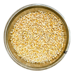 Maize