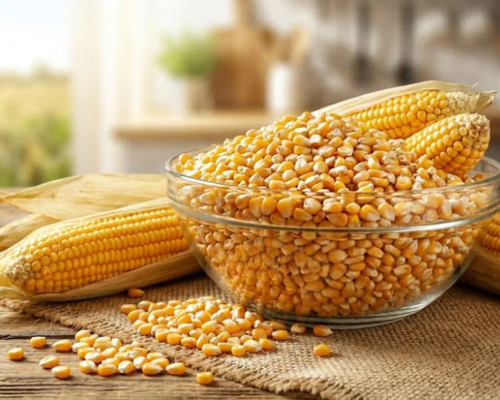 Maize