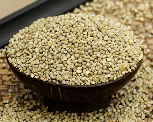 Pearl Millet